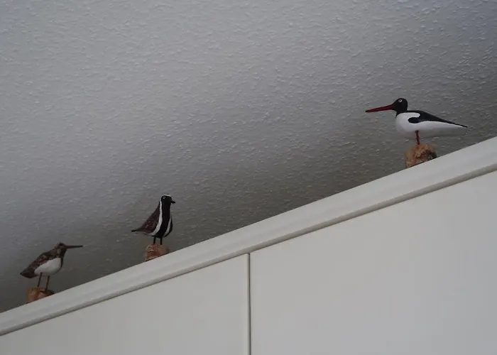 Duenenbake-59 * ザンクト・ペーター・オルディング